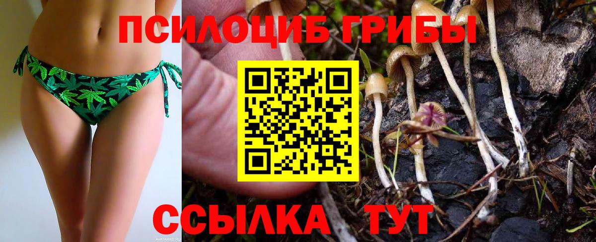 Псилоцибиновые грибы Magic Shrooms  Вход с VPN  Похвистнево 
