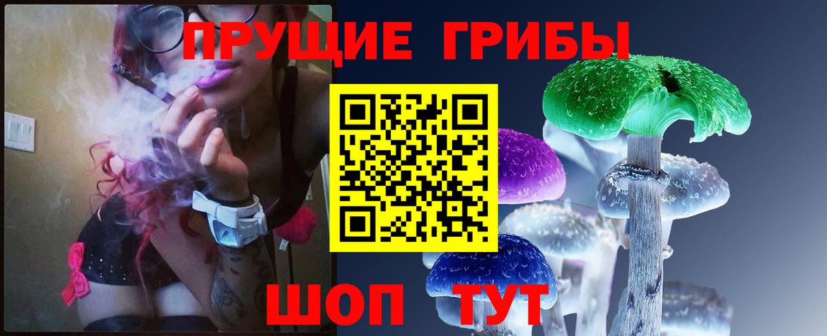 Псилоцибиновые грибы мицелий Похвистнево